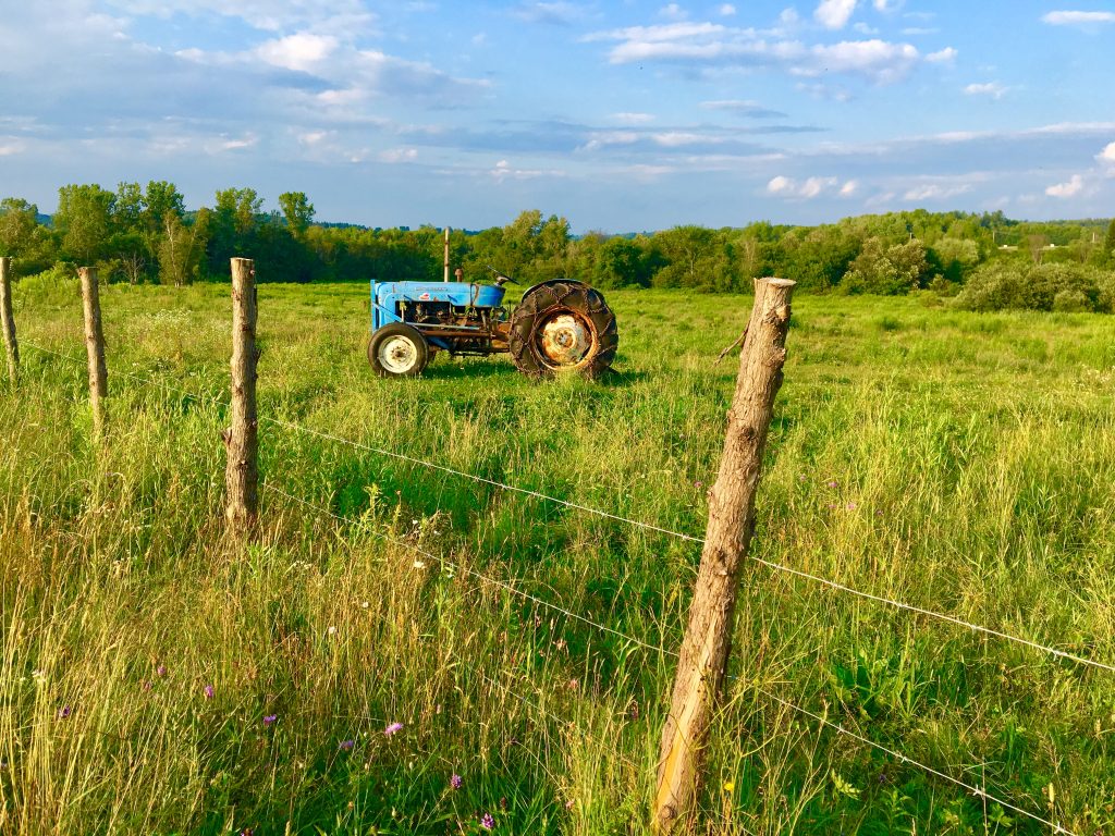 _photo tracteur dans le champ