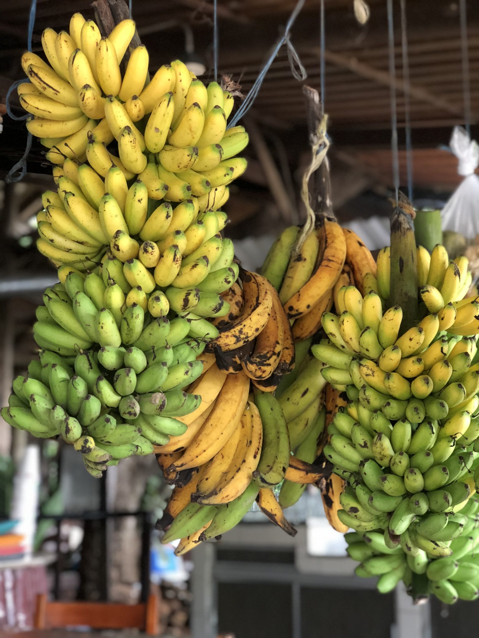 _Photo bananes